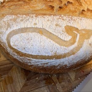 Meet your Posher, Caitlin